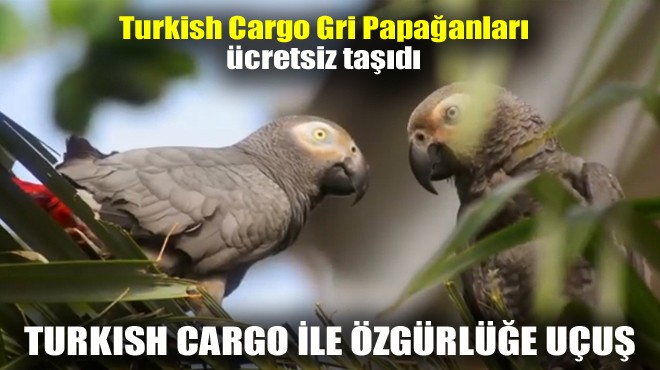 TURKISH CARGO İLE ÖZGÜRLÜĞE UÇUŞ